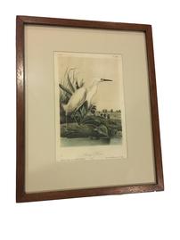 Collection of Small Audubon Prints                                         from the Estate of Lucie Wray Todd 202//269